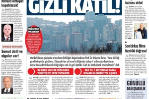 Damga Gazetesi de Danamandıra RES mücadel