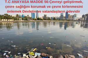 VİZYONUMUZ